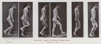 Den menneskelige figur i bevægelse: Gå, under forskellige forhold (s/h foto) af Eadweard Muybridge