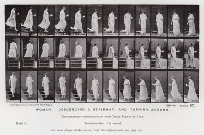 Den menneskelige figur i bevægelse: Kvinde, der går ned af en trappe og vender sig om (s/h-billede) af Eadweard Muybridge