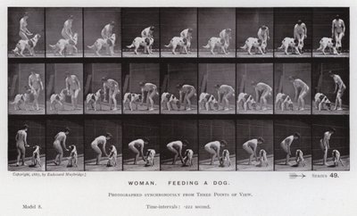 Den menneskelige figur i bevægelse: Kvinde, der fodrer en hund (s/h-billede) af Eadweard Muybridge