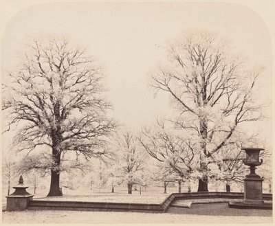 Rimfrost, en parkscene af Earl of Caithness