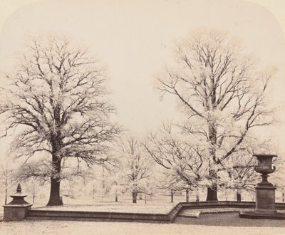 Rimfrost, en parkscene, 1862. af Earl of Caithness James Sinclair