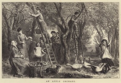 En æbleplantage (gravering) af Ebenezer Newman Downard