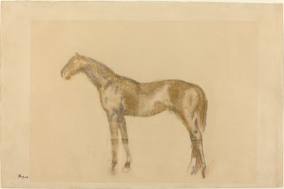Hest, c. 1890. af Edgar Degas