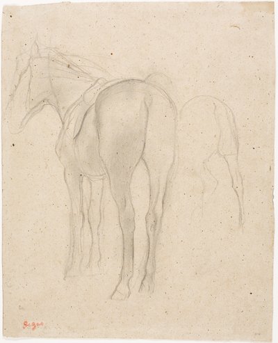 Studier af en hest af Edgar Degas