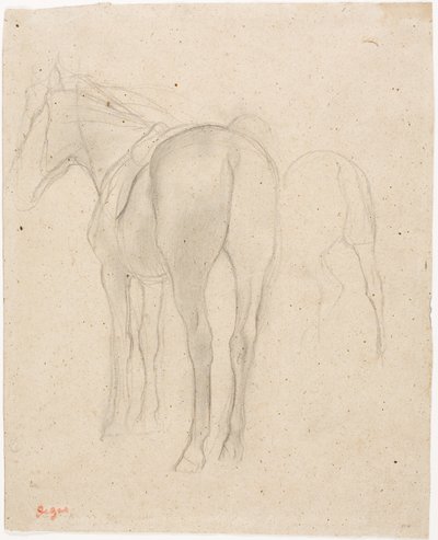 Studier af en hest af Edgar Degas