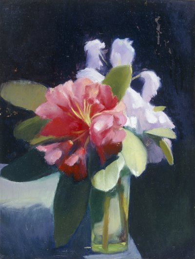 Rhododendrons af Edgar Herbert Thomas