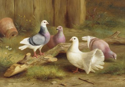 Duer af Edgar Hunt