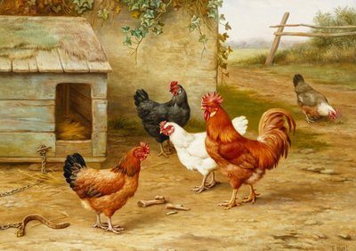 Fjerkræ efter kennel af Edgar Hunt