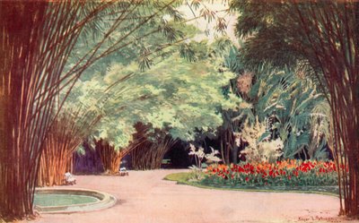 En bambuslund, botanisk have (farve litho) af Edgar L. Pattison