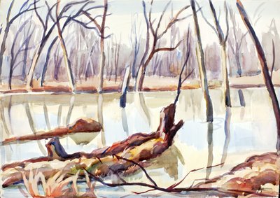 Rock Creek, vinter, ca. 1920-1929. af Edgar Nye
