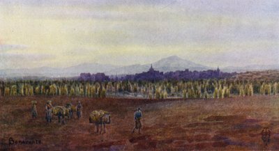 Nordspanien: Benavente, ovenfra Castro Gonzalos bro (farve litho) af Edgar T. A. Wigram