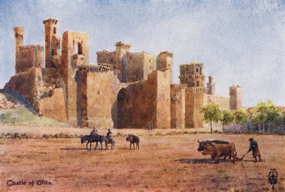 Nordspanien: Olite, Slottet (farve litho) af Edgar T. A. Wigram