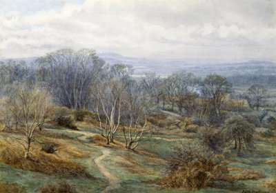 Hampstead Heath ser mod Harrow on the Hill, ca. 1880 (wc på papir) af Edith Martineau