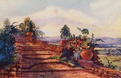 The Steps at Government House, Pretoria (farve litho) af Edith Struben