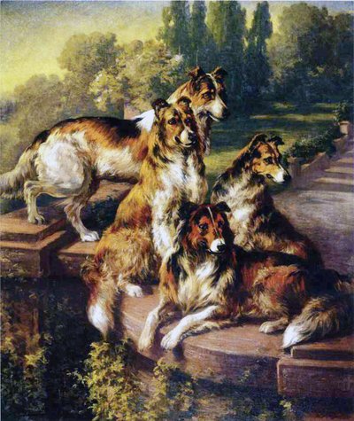 Collies af Edmund Henry Osthaus