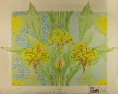 Indian Shot Lily, ca. 1895 (gouache på papir) af Edmund Hunter