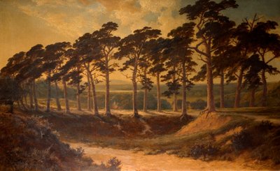 Harrow from the First, Hampstead Heath, 1875 af Edmund John Niemann