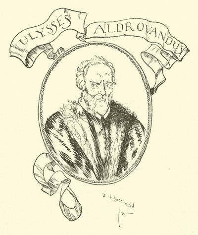 Ulysses Aldrovandus af Edmund Joseph after Sullivan