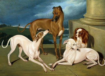 Whippets og en King Spaniel, 1837 af Edmund Jr Havell