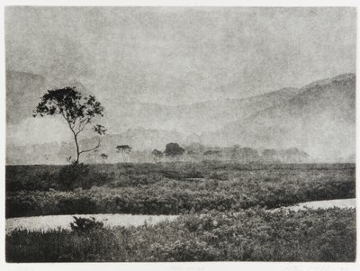 Oze Mist, 1993 af Edouard Cremieux