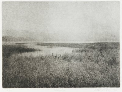 Ozenuma, 1994 af Edouard Cremieux