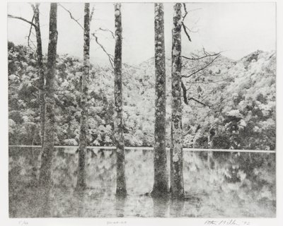 Sai-no-Ko, 1992dani af Edouard Cremieux