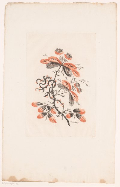 Blomster og knopper Fleurs Idealle (serietitel) af Edouard Gautier Dagoty