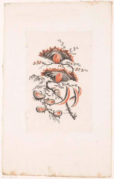 Vifteformede blomster Fleurs Idealle (serietitel) af Edouard Gautier Dagoty