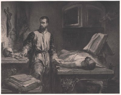 Andrew Vesalius af Edouard Jean Conrad (after) Hamman