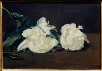 Gren af hvide pæoner og sekatør Maleri af Edouard Manet (1832-1883) 1864 Dim. 0,31x0,46 m. Paris. Orsay Museum af Édouard Manet