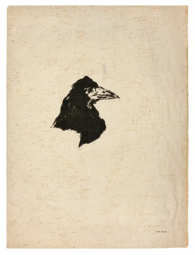 Hovedet af en ravn i profil, fra The Raven (Le Corbeau) af Édouard Manet