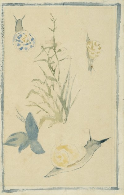 Skitser af snegle, blomstrende plante, ca. 1880 af Édouard Manet
