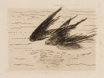 Svaler, plade 8 fra Le Fleuve af Édouard Manet