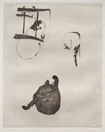 Kattene af Édouard Manet