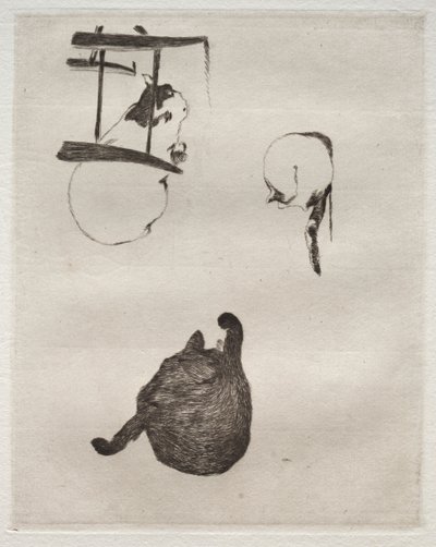 Kattene, 1868-1869. af Édouard Manet