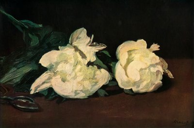 Hvide pæoner, 1864, 1937. af Édouard Manet
