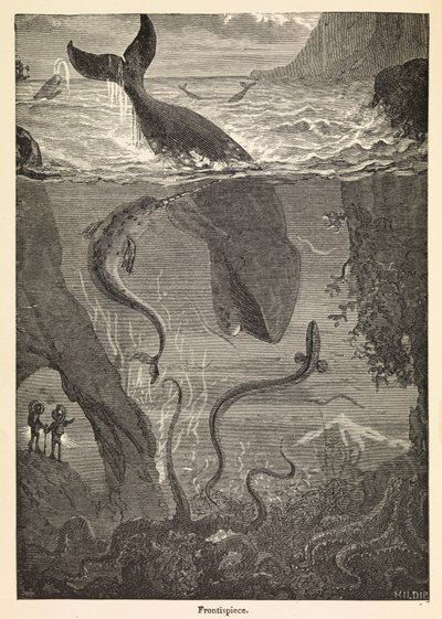 Forsiden af Jules Vernes 