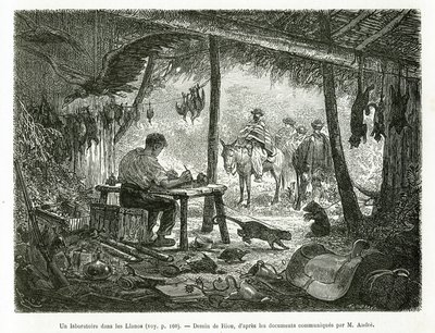 Et taxidermi-laboratorium i urskoven, i regionen Llanos (Colombia), tegning af Riou, for at illustrere historien om Equinoxiale America (Colombia, Ecuador, Peru), i 1875-1876, af Ed. andre, rejsemissionsafgift fra den franske regering. Engra af Edouard Riou