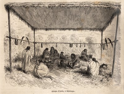 Ajoupa (usikre boligbyggerier) af antis-indianerne, i Biticaraya (Peru), tegning af Riou, der illustrerer rejsen fra Stillehavet til Atlanterhavet af Edouard Riou