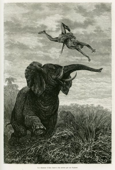 Aleys jæger kaster en kilometer fra en elefant. Gravering af Riou til illustration af historien Les lacs de l