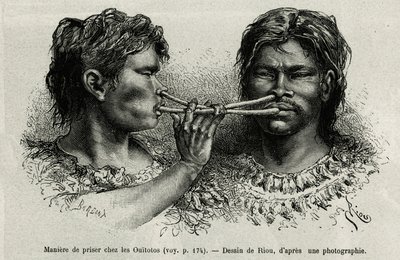 Et instrument lavet af fugleben og en måde at snuse på blandt indianerne ouitotos (uitoto), der blæser i kor, sender de samtidig fangsten. Gravering af Riou, for at illustrere historien om Cayenne aux Andes, af Jules Crevaux, læge i den franske flåde, af Edouard Riou