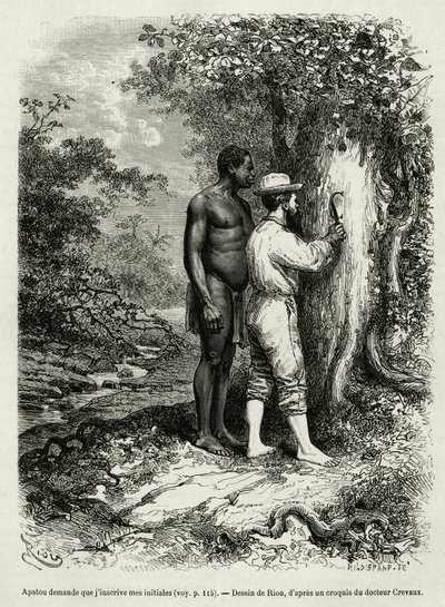 Apatou, guide og rejseledsager beder den opdagelsesrejsende forfatter om at indgravere sine initialer i barken på et træ. Gravering af Riou, for at illustrere historien om Cayenne aux Andes, af Jules Crevaux, læge for den franske flåde, i 1878-1879, offent af Edouard Riou