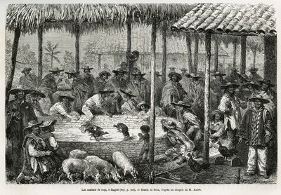 Hanekamp og gadeanimation i Ibague (Colombia), tegning af Riou, for at illustrere historien om Equinoxiale America (Colombia, Ecuador, Peru), i 1875-1876, af Ed. andre, rejsemissionsafgift fra den franske regering. Indgravering i Le tour du monde af Edouard Riou
