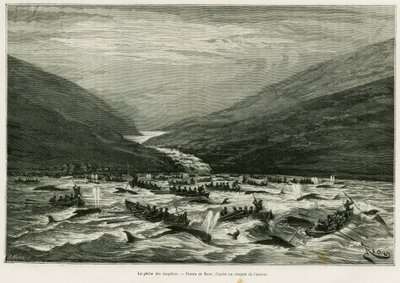 Delfinfiskeri. Gravering af Riou til illustration af historien En måned i det færøske øhav (Færøer, Færøer, Danmark), af H.Labonne, i le tour du monde 1887, instrueret af Edouard Charton (1807-1890), Hachette, Paris. af Edouard Riou