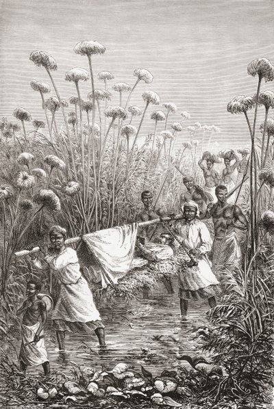 Dr. David Livingstone bliver båret de sidste par miles til landsbyen Tchitammbo, Afrika, kort før sin død, illustration fra "The World in the Hands", indgraveret af Henri Theophile Hildibrand af Edouard Riou