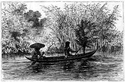 Udgravning i Essequibo-floden, Guyana, 1800-tallet af Edouard Riou