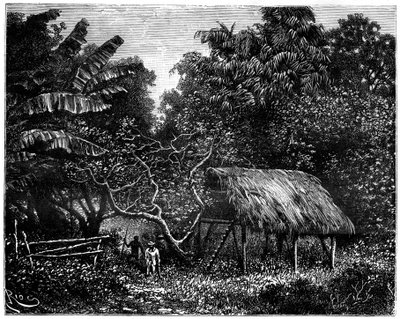 Guyana, Sydamerika, 1800-tallet af Edouard Riou