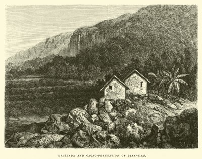 Hacienda og kakao-plantage af Tian-tian af Edouard Riou