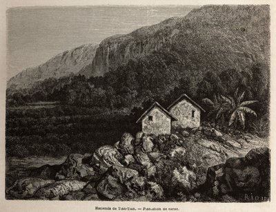 Hacienda af Tian Tian, Peru og kakaoplantage, tegning af Riou, for at illustrere Paul Marcoys rejse gennem Sydamerika fra 1848 til 1860. Indgravering i "" Le tour du monde"", redigeret af Edouard Charton af Edouard Riou