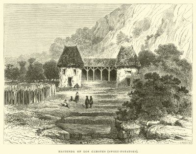Hacienda af Los Camotes, søde kartofler af Edouard Riou